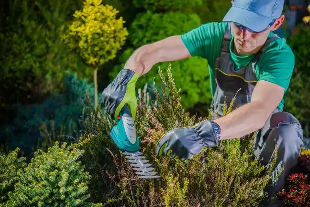 landscaping services Jackson